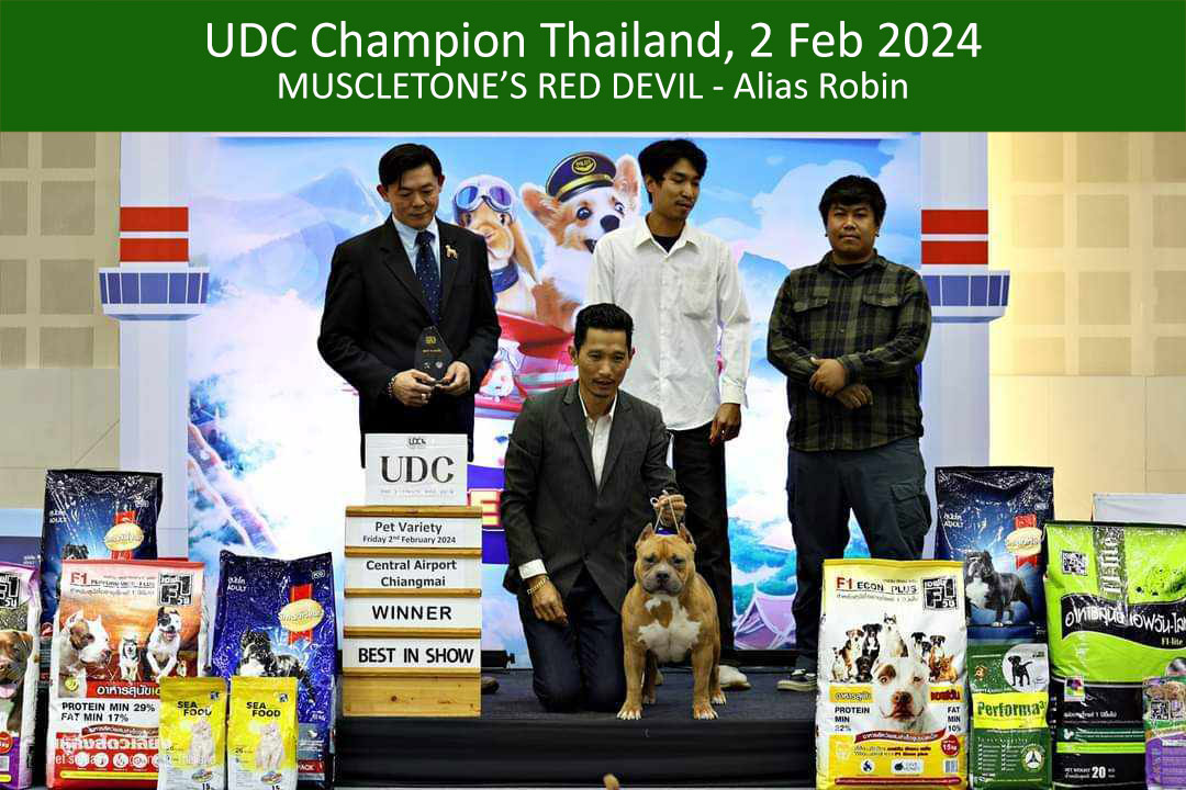 UDC Champion of Thailand 2024